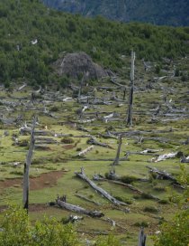 patagoniasur.com